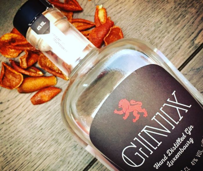 Ginix Gin